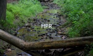 Textos de Superación Personal